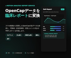 OpenCap動作解析をPDFレポート化します イメージ1