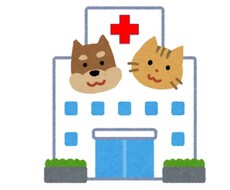 動物病院への転職＆就職　ご相談にのります 【獣医師・動物看護師へ】動物病院の探し方・選び方お教えします