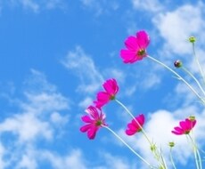 受け止めます イメージ1