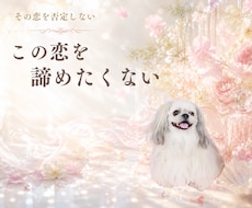 浮気・複雑恋愛・婚外│霊感恋愛タロットで占います 訳あり恋愛【彼の心や気持ち]上司部下・師匠と弟子・年の差恋愛