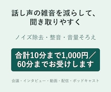 話し声のノイズ除去・整音で聞き取りやすくします イメージ1