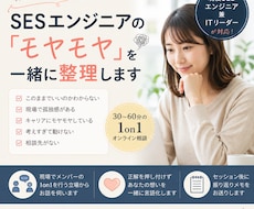 SESエンジニアの悩み・キャリア相談乗りますます イメージ1