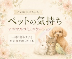 大切なペットの気持ちを本人の言葉でお伝えします 行動の理由や家族への想いまで、丁寧に読み解きます