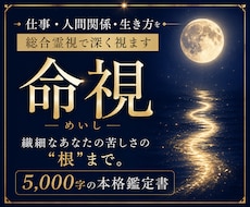 仕事・人間関係・生き方を総合霊視で深く視ます イメージ1