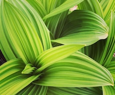 音楽理論の質問に答えます 理論書だけではなかなか難しい疑問を解決致します