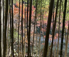 恐怖体験お話します イメージ1