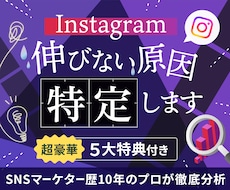 自己流卒業✔ インスタの伸びない原因特定します もう迷わない！原因と今やるべきことをプロが決めます