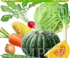 果物、野菜、シズル感のある食材を描きます イメージ1