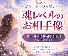 魂レベルのお相手像を、紫微斗数で読み解きます イメージ1