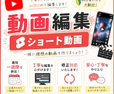youtubeのショート動画の編集を行います イメージ1