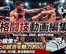 格闘技・スポーツ動画を迫力ある映像に編集します イメージ1