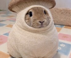 なんでもいいから話を聞いて欲しい方お話聞きます イメージ1