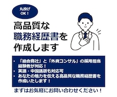 商社・コンサル元面接官が職務経歴書を執筆します 丸投げOK！採用担当者の目に留まり面接を有利にする書類を作成