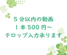 ５分以内の動画の文字入れ承ります イメージ1