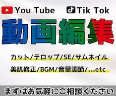 Youtube/TikTok 等　動画編集をします イメージ1
