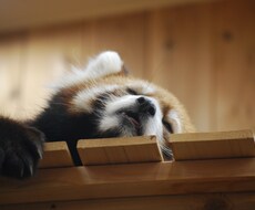 お互いがより幸せになるためにお手伝いをします イメージ1