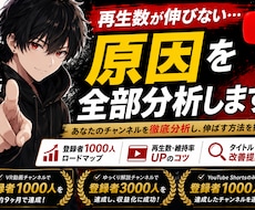 登録者＆再生数を伸ばすYouTubeコンサルします イメージ1