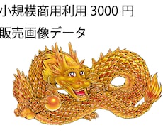 金龍画像素材 販売します イメージ1