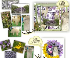 LINE❀ホーム画像❀を作成します イメージ1