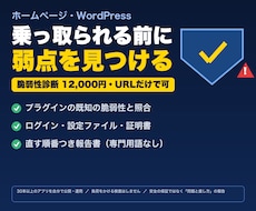HP・WordPressの脆弱性診断をします イメージ1