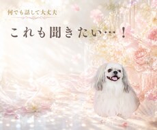 恋愛・仕事のお悩み│霊感恋愛タロットで占います イメージ1