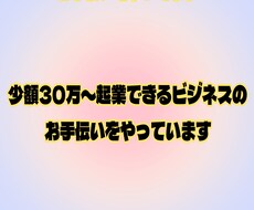 少額ビジネスのコンサルタントやってます イメージ1
