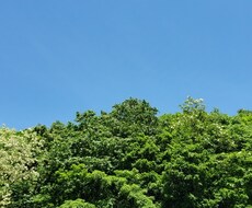 お悩みや愚痴聞きます イメージ1