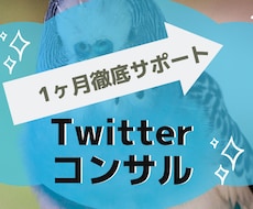月2名限定！1ヶ月Twitterコンサルします いいね・RT・質問し放題で徹底的にレベルアップ！