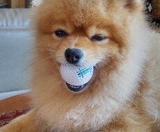 いろんな世界を伺います イメージ1
