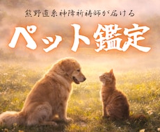 ペット・霊視鑑定｜丁寧に霊視し、お届けします ペット様が抱えている想い・気配・相性を知りたい方へ。