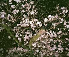 あなたの味方になります イメージ1