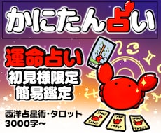 初見様限定3000字│あなたの真の取説お見せします イメージ1