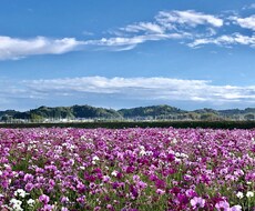 その思い聞かせてください。ゆっくり聞きます イメージ1