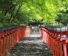 最愛の彼、彼女の本音をお教えします イメージ1