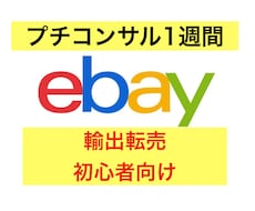 ebay輸出 ミニコンサル経験0でもサポートします ebay初心者向け！登録,リサーチ,出品,顧客対応相談可能！