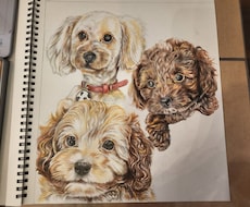 色鉛筆画　お写真そのままを描きます イメージ1