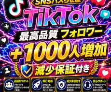 TikTokフォロワー1000人増やします イメージ1