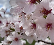 普段誰にも言えない相談、愚痴を聞きます イメージ1