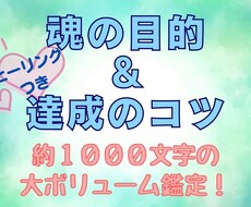 ヒーリング付☆魂の目的と、目的達成のコツ教えます 魂の目的を知り、今世をもっと輝いた人生にしたい方へ