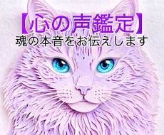 魂とつながり鑑定いたします 未来は変えられます！魂の声をお伝えします。