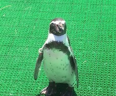 恋愛、愚痴、人間関係などの相談にのります イメージ1