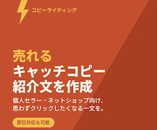 売れるキャッチコピー・紹介文を作成します 個人セラー向け、売れる紹介文・コピーを即日作成