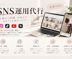 ターゲットに届くSNS運用を丁寧にサポートします イメージ1
