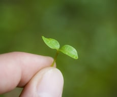 漠然とした不安を軽減！あなたの心を言葉にします イメージ1