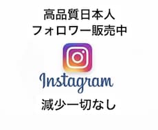 Instagramの日本人フォロワーを増やします イメージ1
