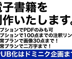 あなたの原稿をKindleで電子書籍化いたします イメージ1