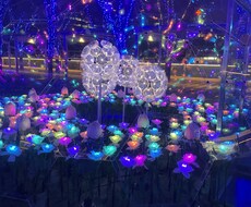 お子様向けの1週間の献立を作成します イメージ1