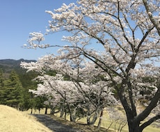 デートに代わりに誘います イメージ1