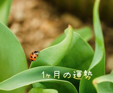 1ヶ月の運勢占います イメージ1