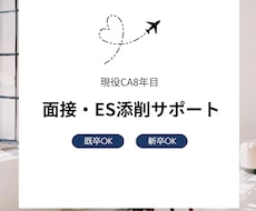 現役CA8年目が面接・ES添削します イメージ1